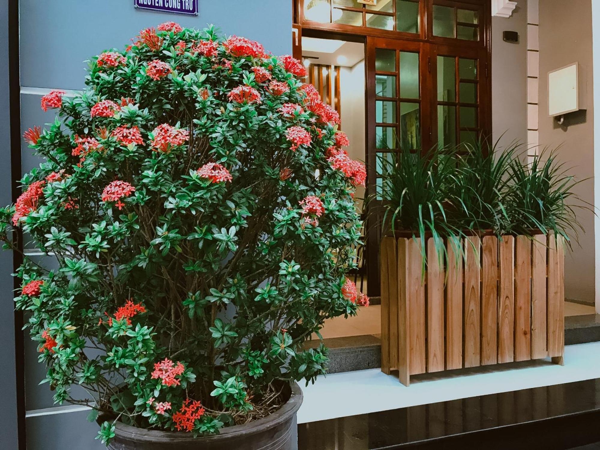 Anan Homestay 顺化 外观 照片